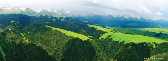 中国最美草原之一、新疆必去的景点之一——喀拉峻风景区，你去过吗？喀拉峻风景区