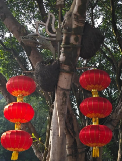 昨天真是把我气炸了，我哥上学后在大城市安了家娶了一个城里的媳妇。生孩子之后，我爸