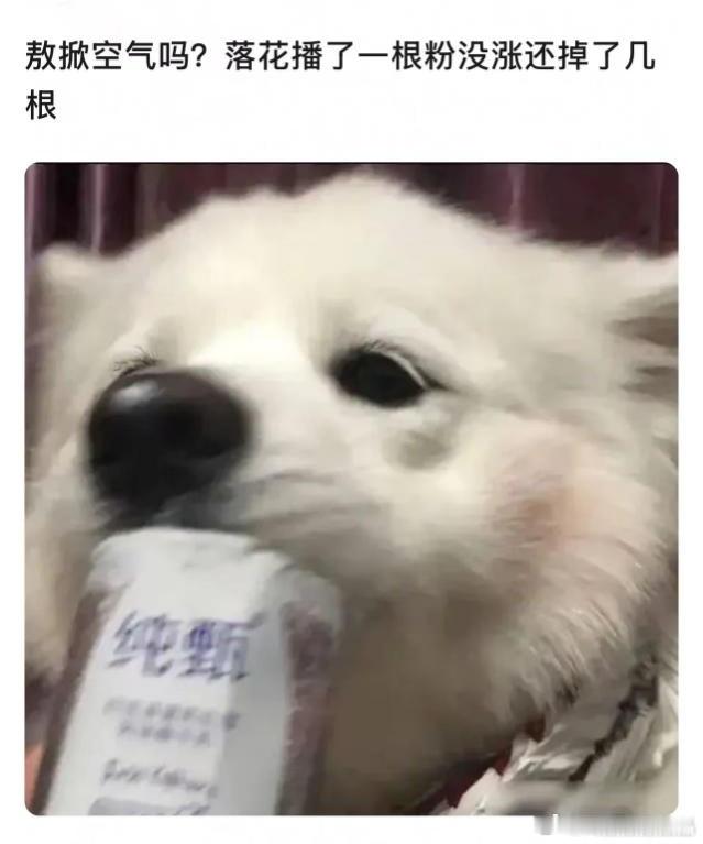 嗷嗷很惨，播了个🌹剧，不但没涨粉，还掉粉粉，还不如去看白月呢[墨镜]​​​