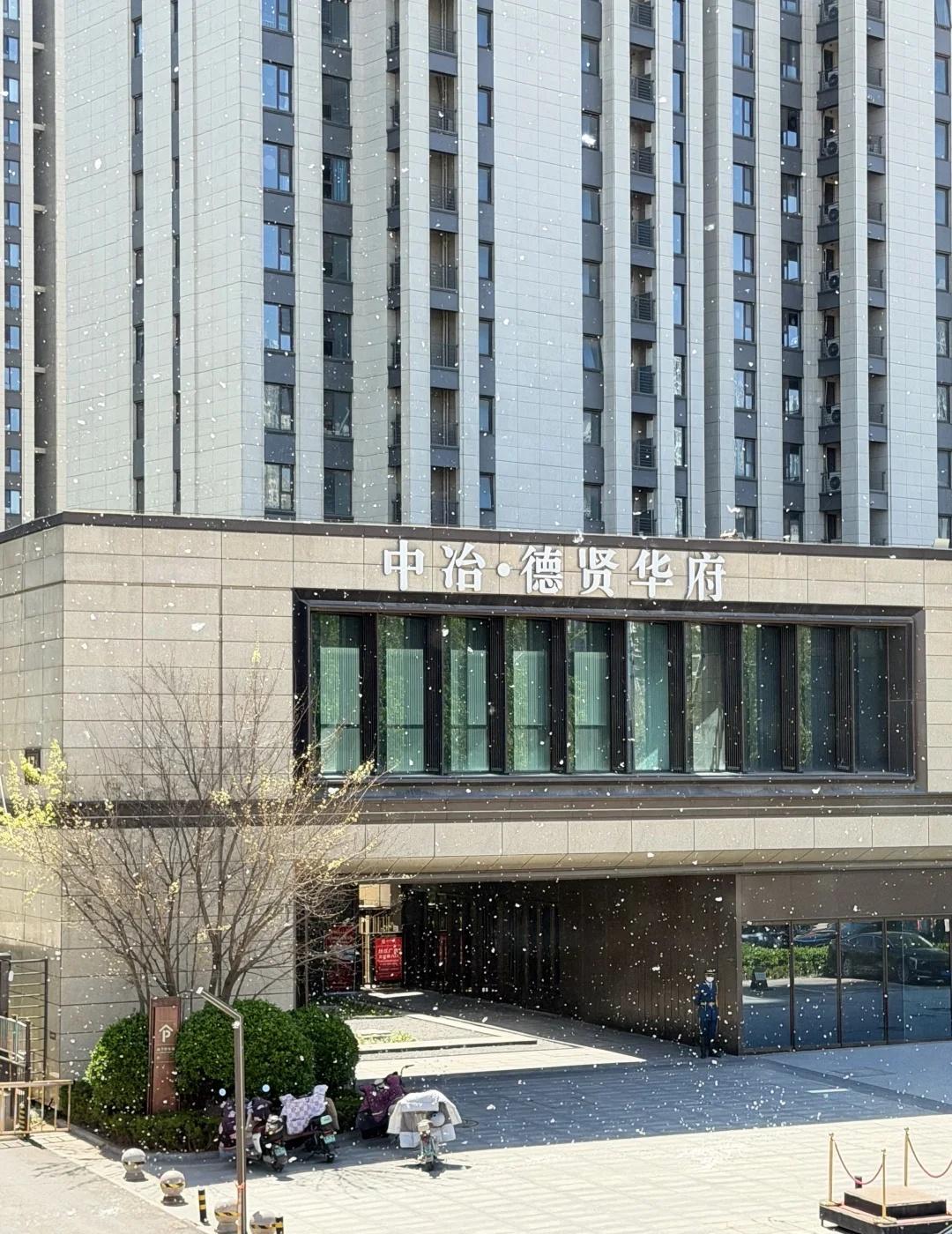 石家庄真奇特啊，4月飞雪❄️柳絮飘得让人醉[笑着哭]请用你现有的文化描述一下此