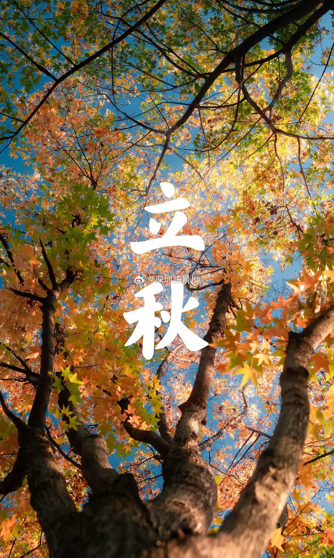 不是迷信！明日立秋，最不能做的4件事，告诉家人要知道明天是8月7日，农历六月廿五