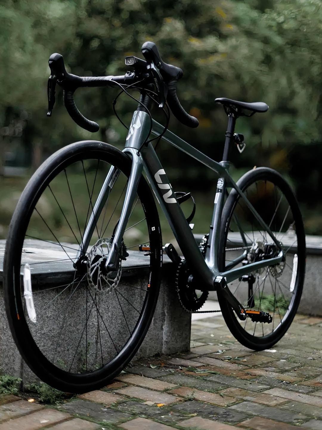 中国九大自行车品牌1.捷安特GIANT——捷安特（中国）有限公司，创始人刘