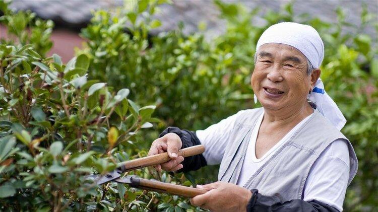 日本人不爱运动却最长寿,患癌率极低,医生:这几个原因值得深思