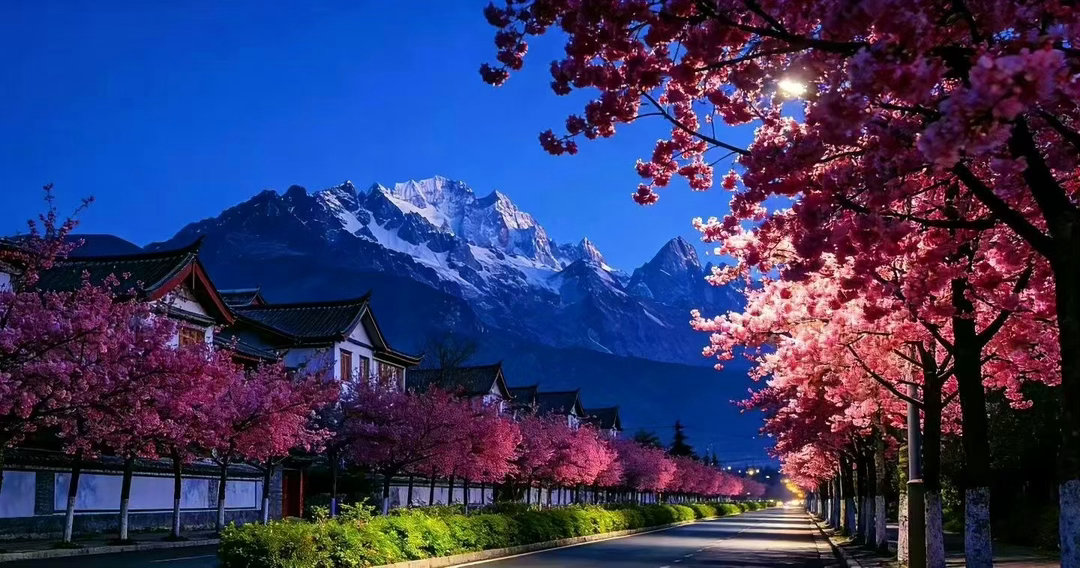 《我的自由》发现自己对“自由”的感受和定义，竟然与别人完全不一样，读过很多的书，