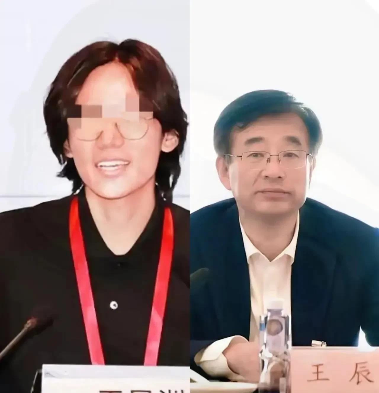 王辰院士的儿子王昱洲，北大哲学系助理教授，不到31岁就到北大教书，能力应该很惊人