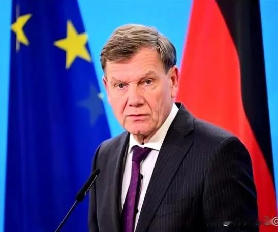 德国外长发话说德国使用稀土与我国无关？德国外长在稀土问题上与我国发生冲突，