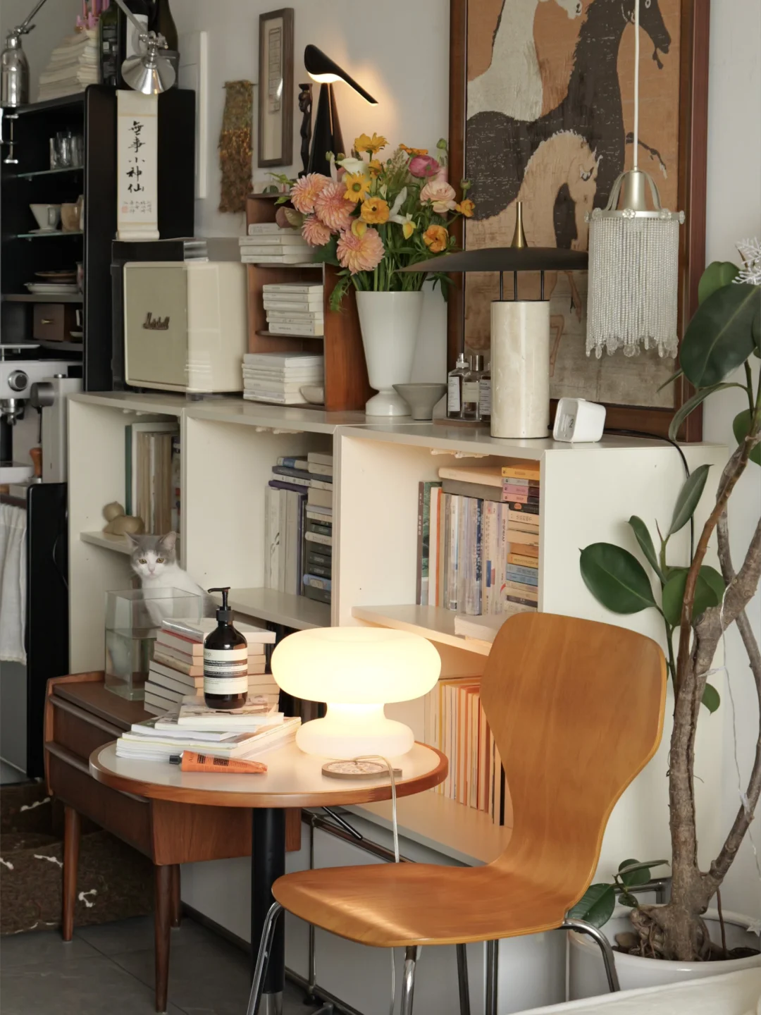 家的味道不需要是昂贵的