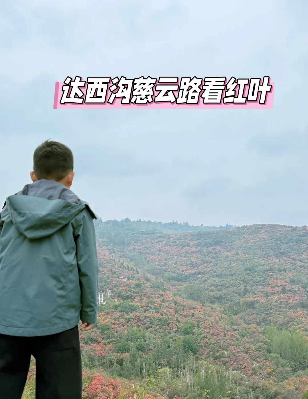 郑州达西沟慈云路坐车上看红叶周末去达西沟的路上大部分人是走连共线-竹林路去达西