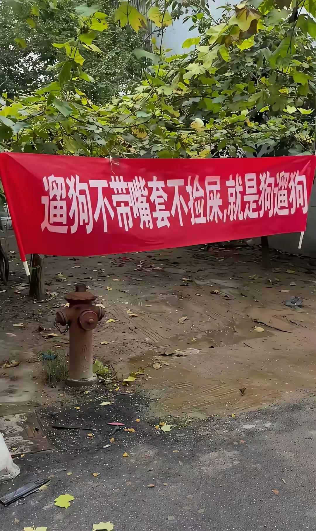 太霸气了！物业挂出了这横幅“遛狗不戴嘴套不捡屎就是狗遛狗”。爱狗人士主没有不