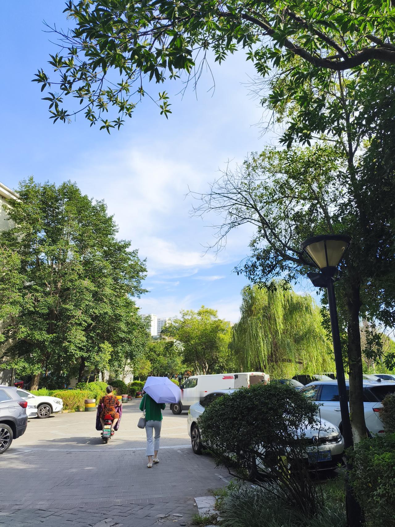 南京这天气终于有了变化！前几天大部分地区最高气温还在35℃到36℃，热得人喘不过