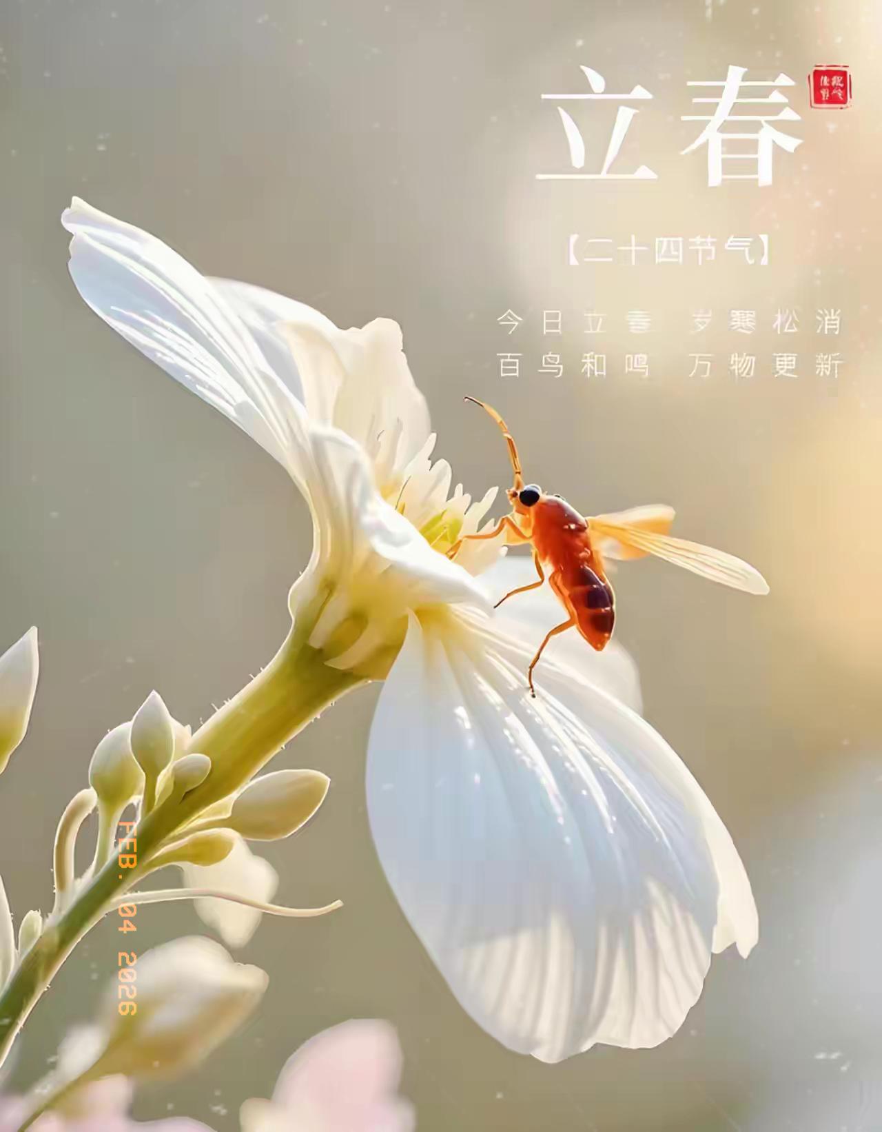 2026年立春撞六九头！这可是十年难遇的“抢跑富贵”局！今年这立春也太会挑日