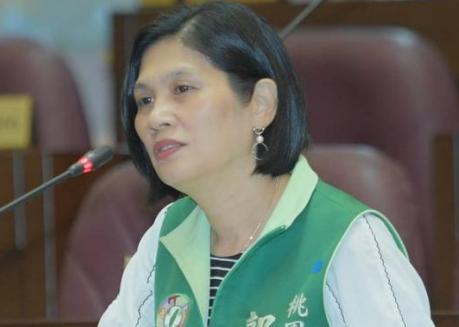 刚刚，2连霸女将退出民进党！　选战爆变数 民进党爆退出，2026“九合一