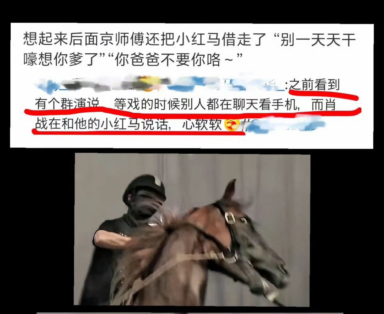 翻到这个，真的好萌啊我们小赞