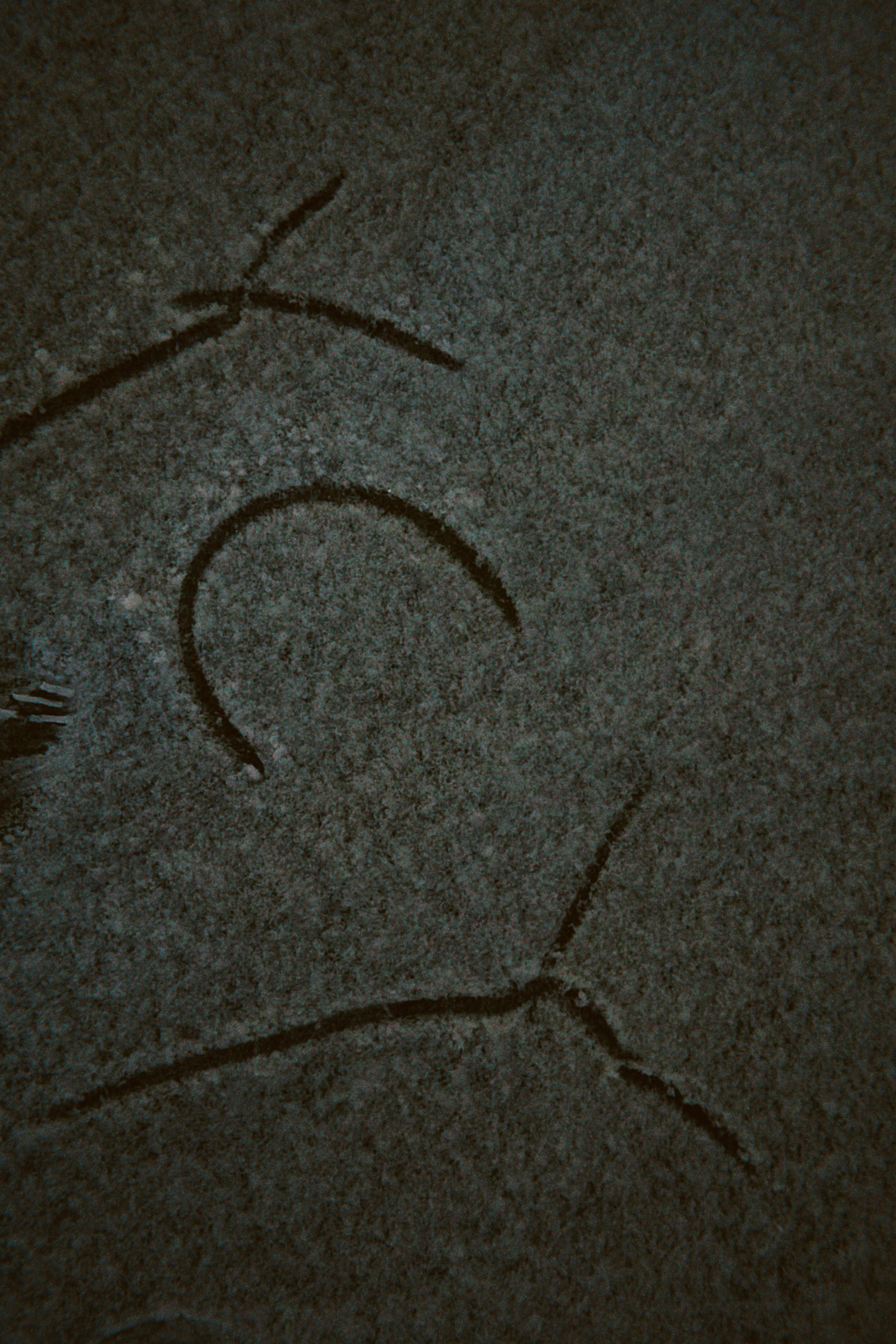 没下雨🌧️，下雪🌨️了。快看，也挺漂亮的