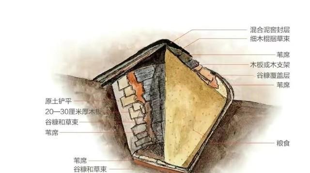 1971年，考古人员打开沉睡1300多年的“天下第一粮仓”，里面是满满一整窖60