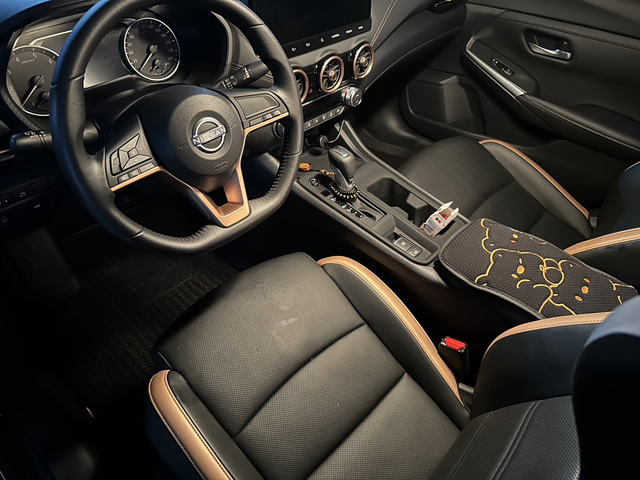 轩逸黑金版，有必要购买吗？网传马路三大妈，轩逸独占三分之一。而事实真的如此吗？