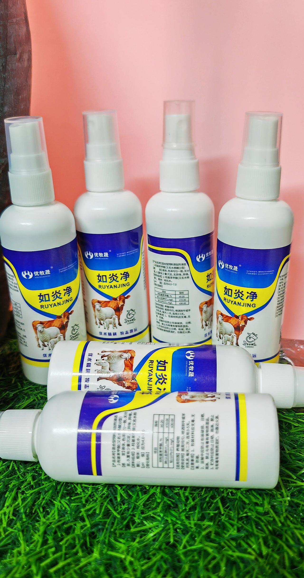 养羊人牛羊养殖农村养羊