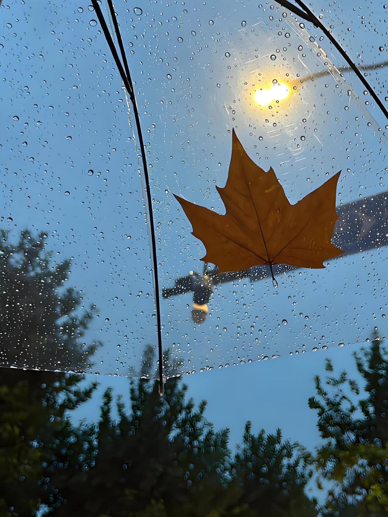 一段非常通透的话：“不要期望自己能够改变任何人，就像天正在下雨，你可以选择撑伞或