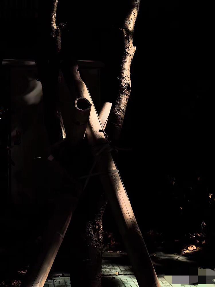 这娘俩的事，看得人一头雾水！儿子贷款在城里买房接母亲，她嫌儿媳要赶人；装修好老家