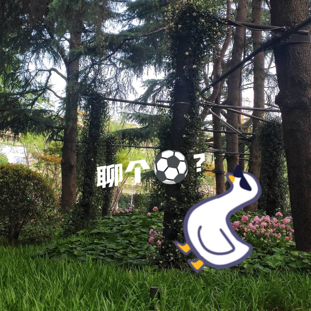 从司机下课到安帅上班申花队以两个0：2分别败于天津津门虎和同城死敌海港，如果说