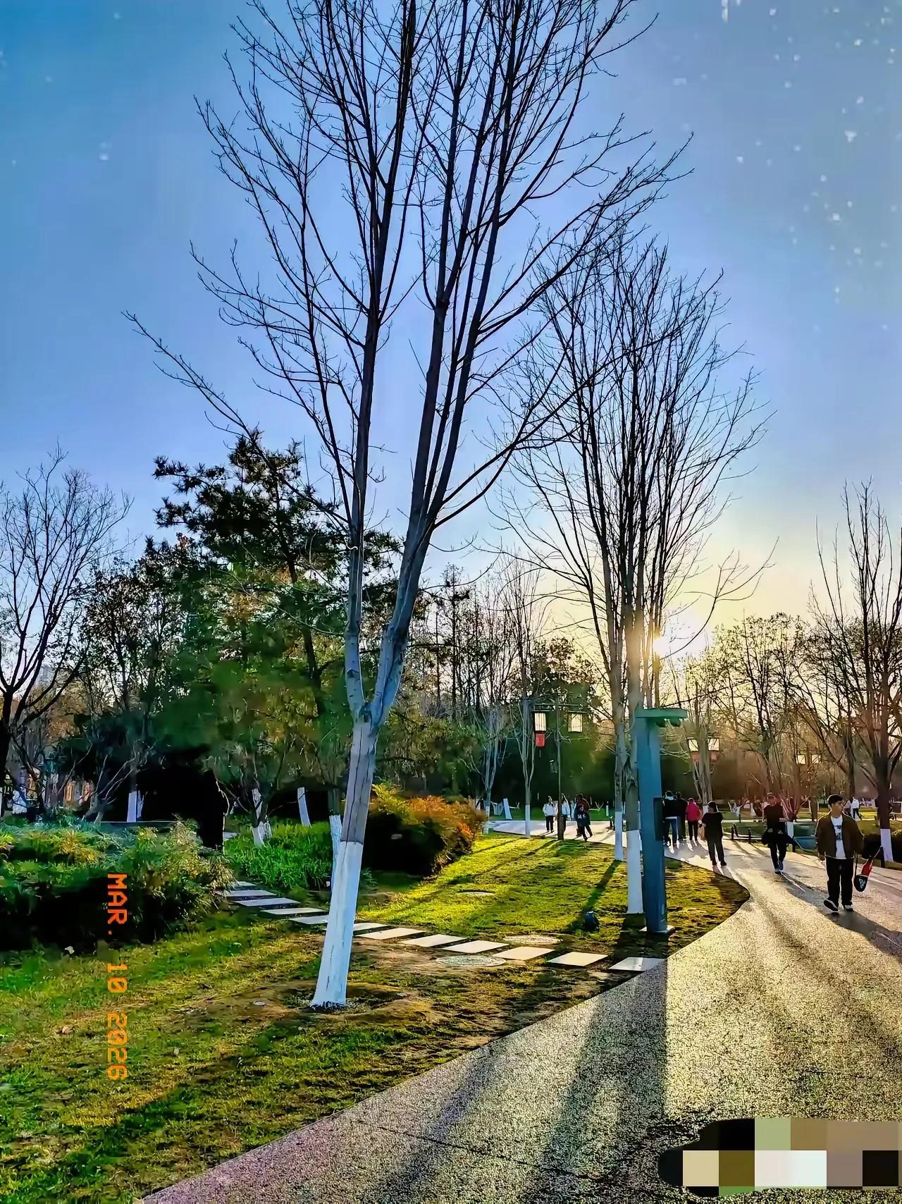 我发现，现在的退休人员怪的很，但凡体制内的，公务员或事业编，文化水平高的退休人员