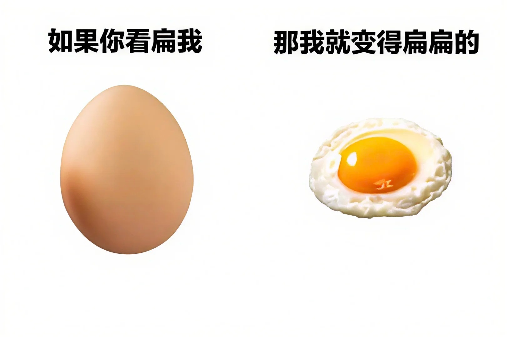 一些我珍藏已久的治愈系meme图