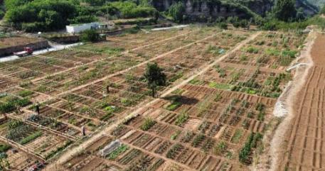 山东济南一名男子把家里10亩地分成200份挂到网上出租，按月收费，结果不到10天