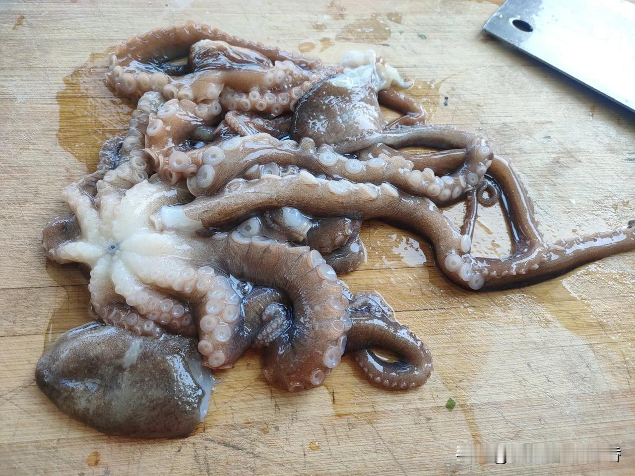 今天的快乐是三鲜馅饺子给的，吃一口超满足，溜鲜，食材；靶梢，手拔虾仁，韭菜，鸡蛋
