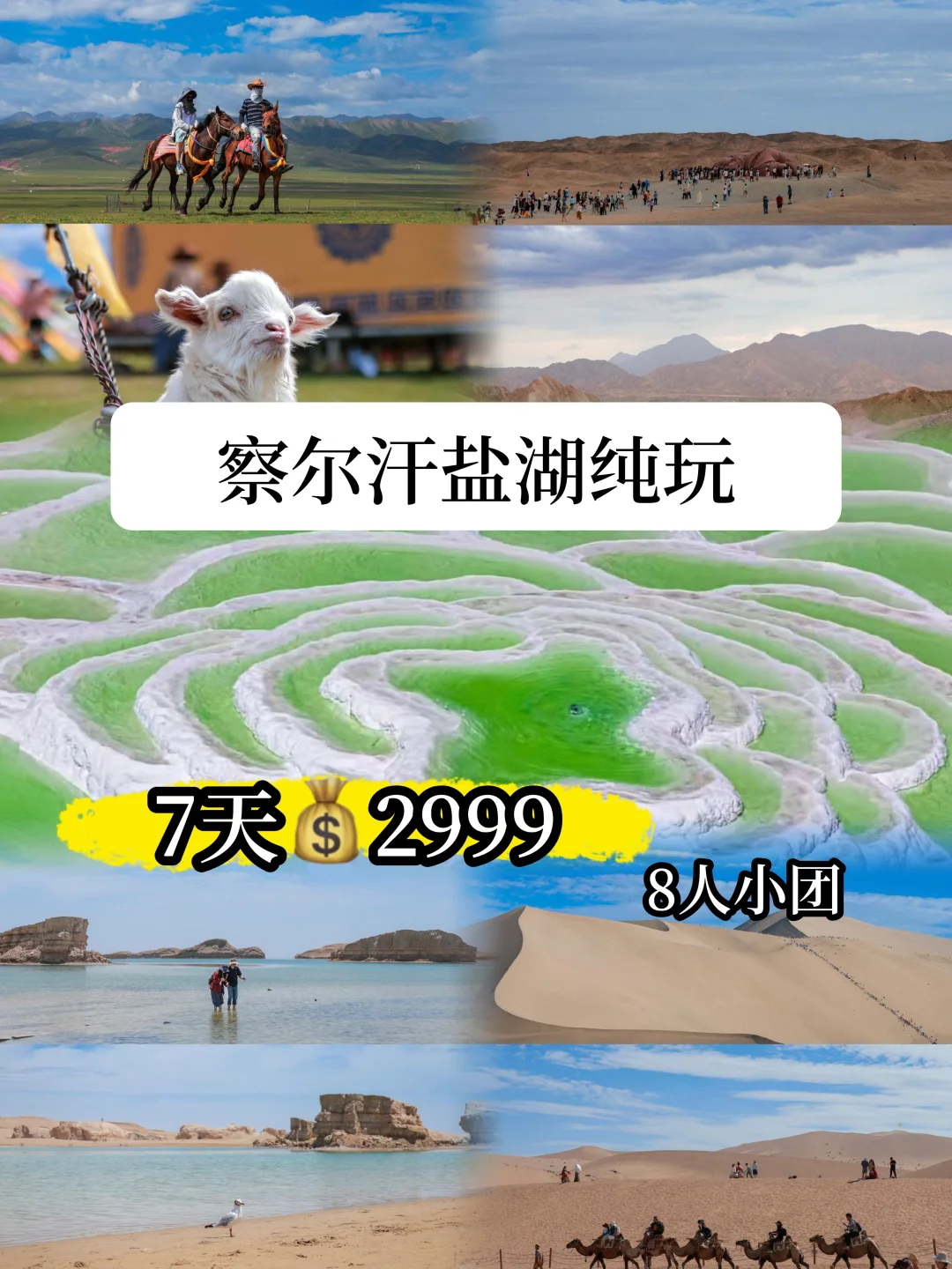 青甘大环线 7 日亲子小团游攻略！
