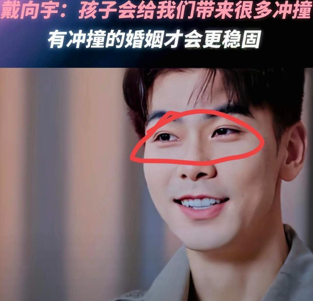 戴向宇最近接受采访，被网红问到什么时候要孩子，他当时就两眼放光。就这么一个下意