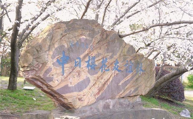 我国暂停中日地方友好活动，引起外界关注，日本深感遗憾。这项活动从1988年开