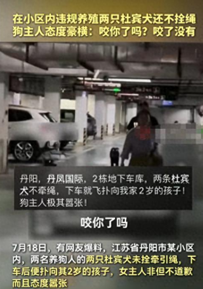 丹阳地下车库，未拴绳的2只杜宾犬撒花奔跑，飞扑向两岁幼童被家长驱赶后，狗主人气焰