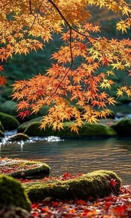 非常现实的一段话：“当你接触的人越多，就会发现：舍不得吃，舍不得穿，抠抠搜搜一辈