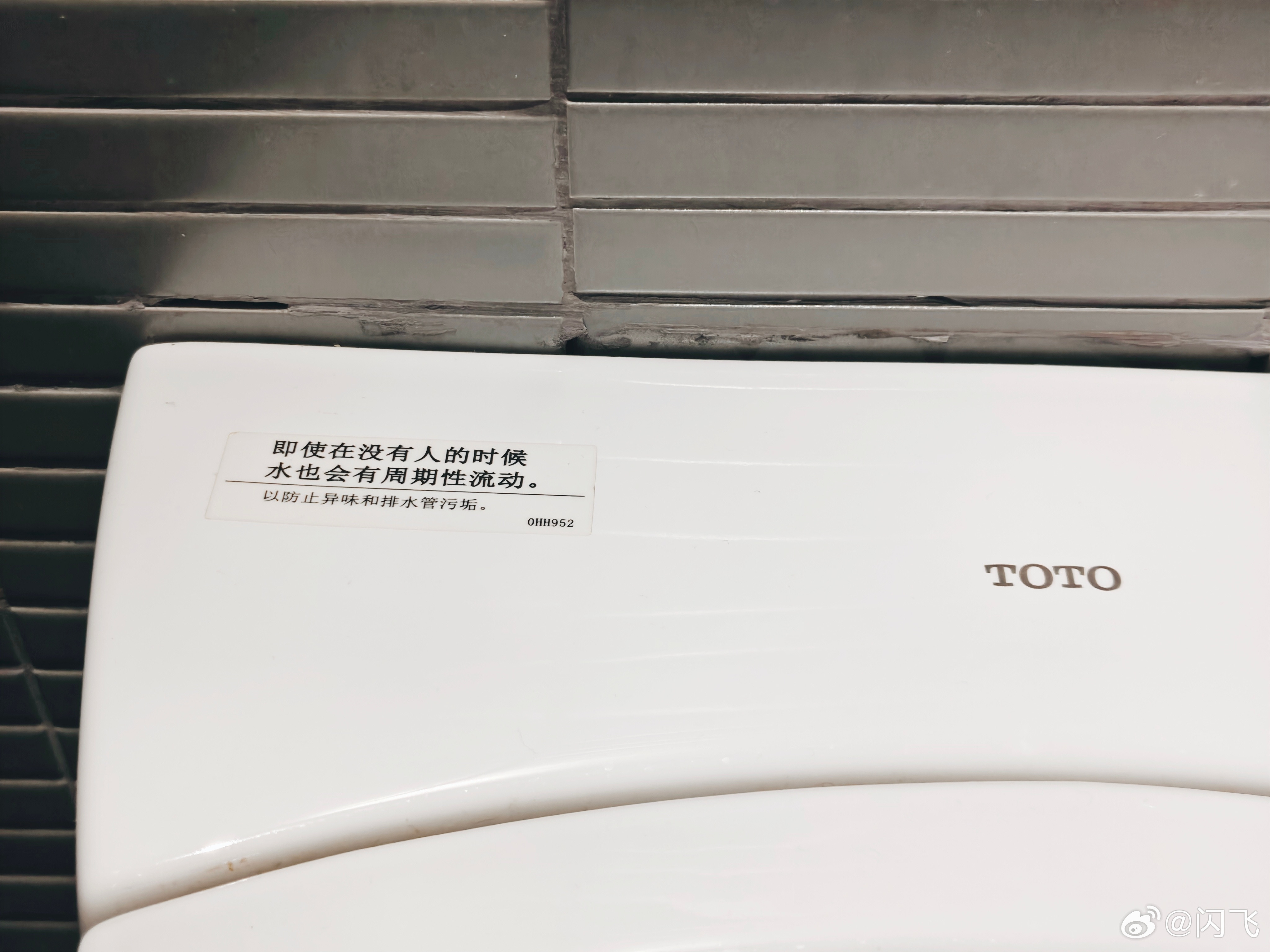 《厕所哲学》​​​