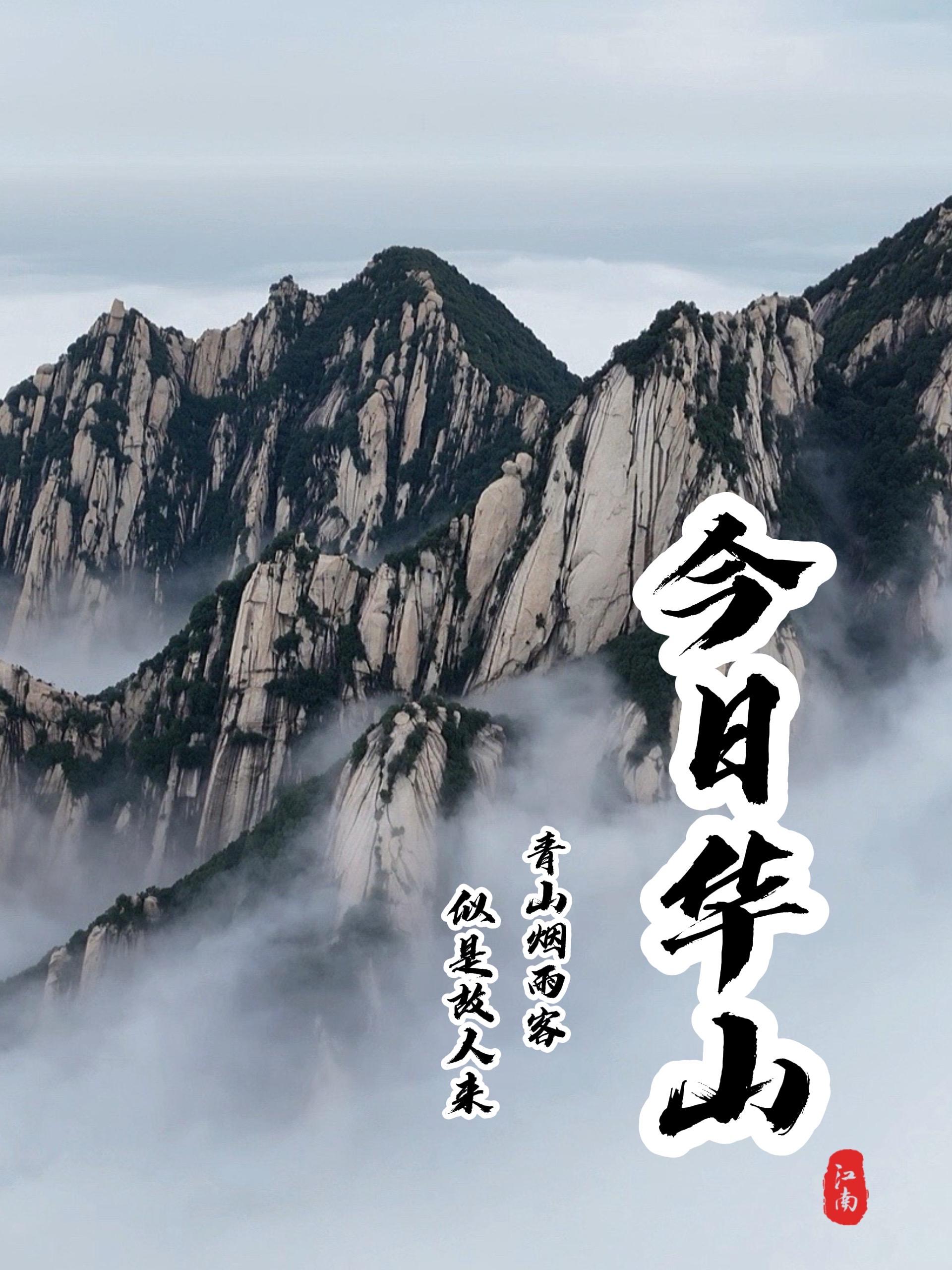 今日华山，风光无限。雨后的华山，壮观云海
