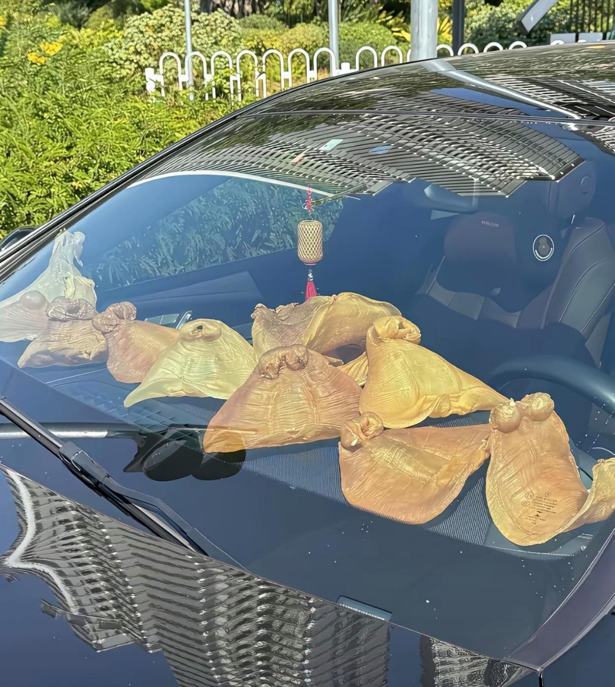 这样炫，真的不怕被人盯上吗