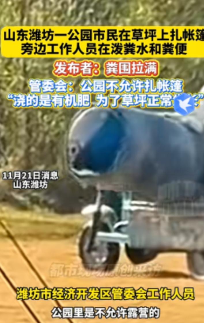 “隔着屏幕都有味！”近日，山东潍坊，一市民在公园草坪上扎帐篷准备露营，突然闻到了