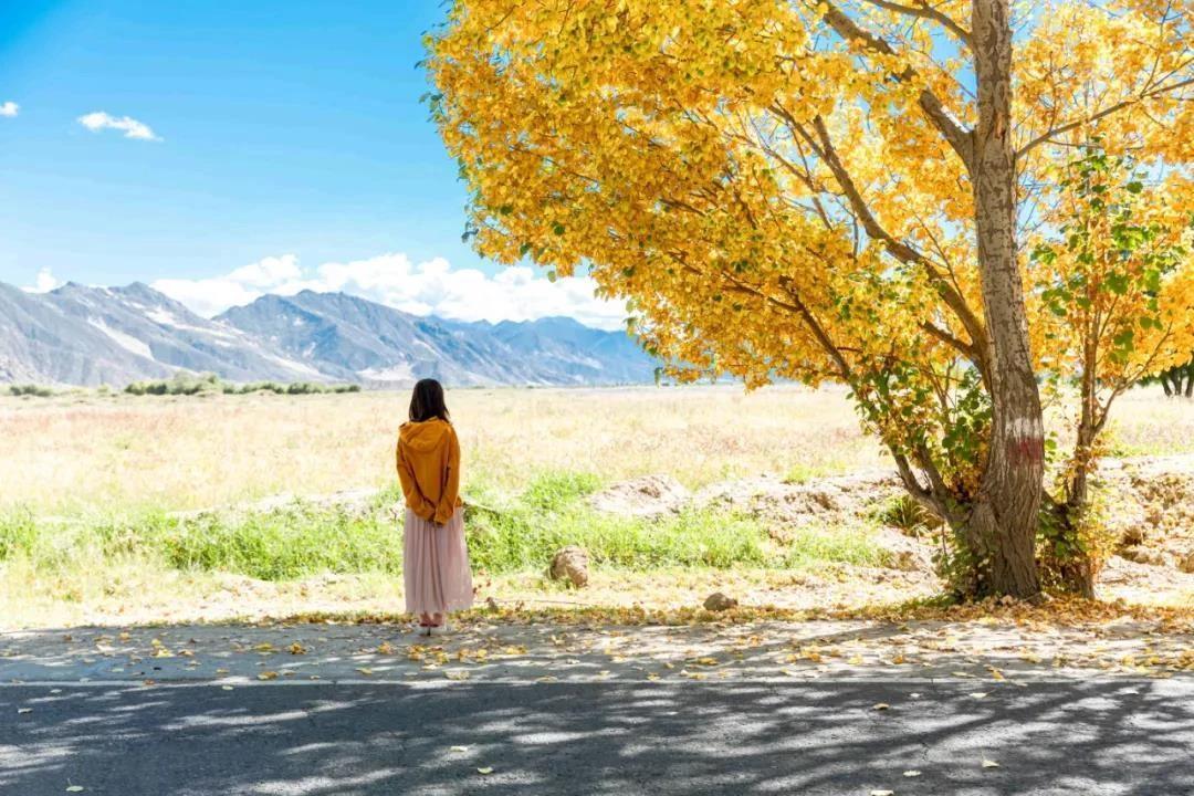 婆婆今年70岁了，想把她的房子过户给姑姐，老公问我有没有意见，我说她的房子她想给