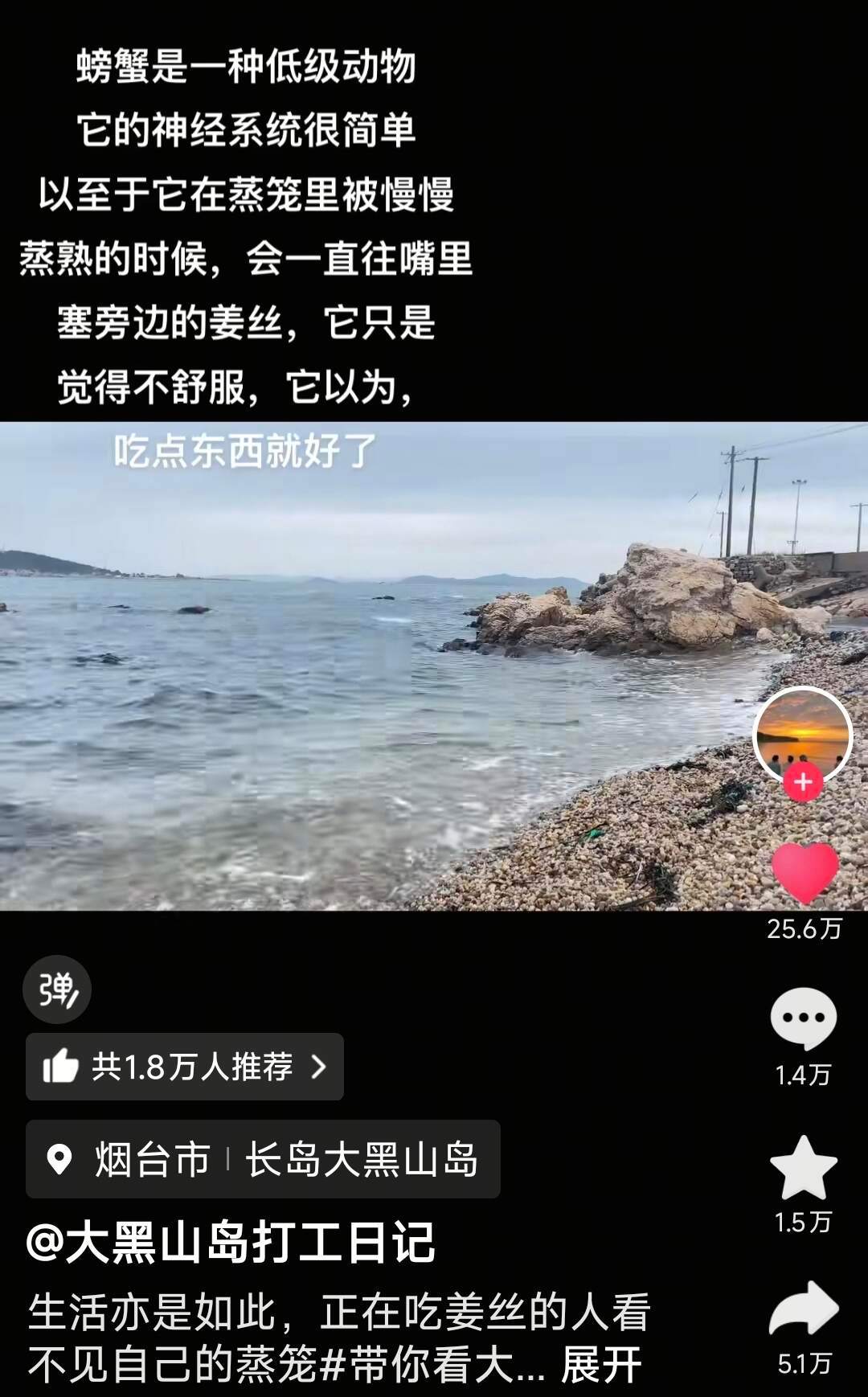 人类在没有天敌的情况下，苦难居然大多数来源于人类自身，实在是不可思议。