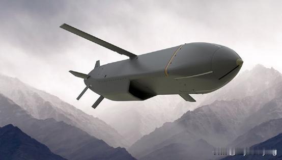 英国援助乌克兰“风暴阴影”导弹助其远程打击俄罗斯，具体数量不详。这可是第一个援助