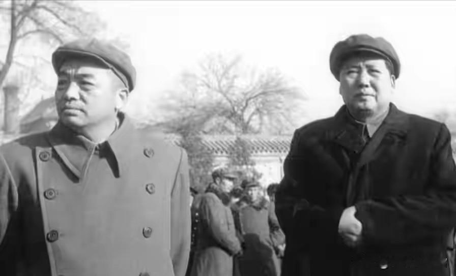 彭总养大的儿子，22岁当上师长，毛泽东说他必反，彭总不信谈起彭德怀元帅很多