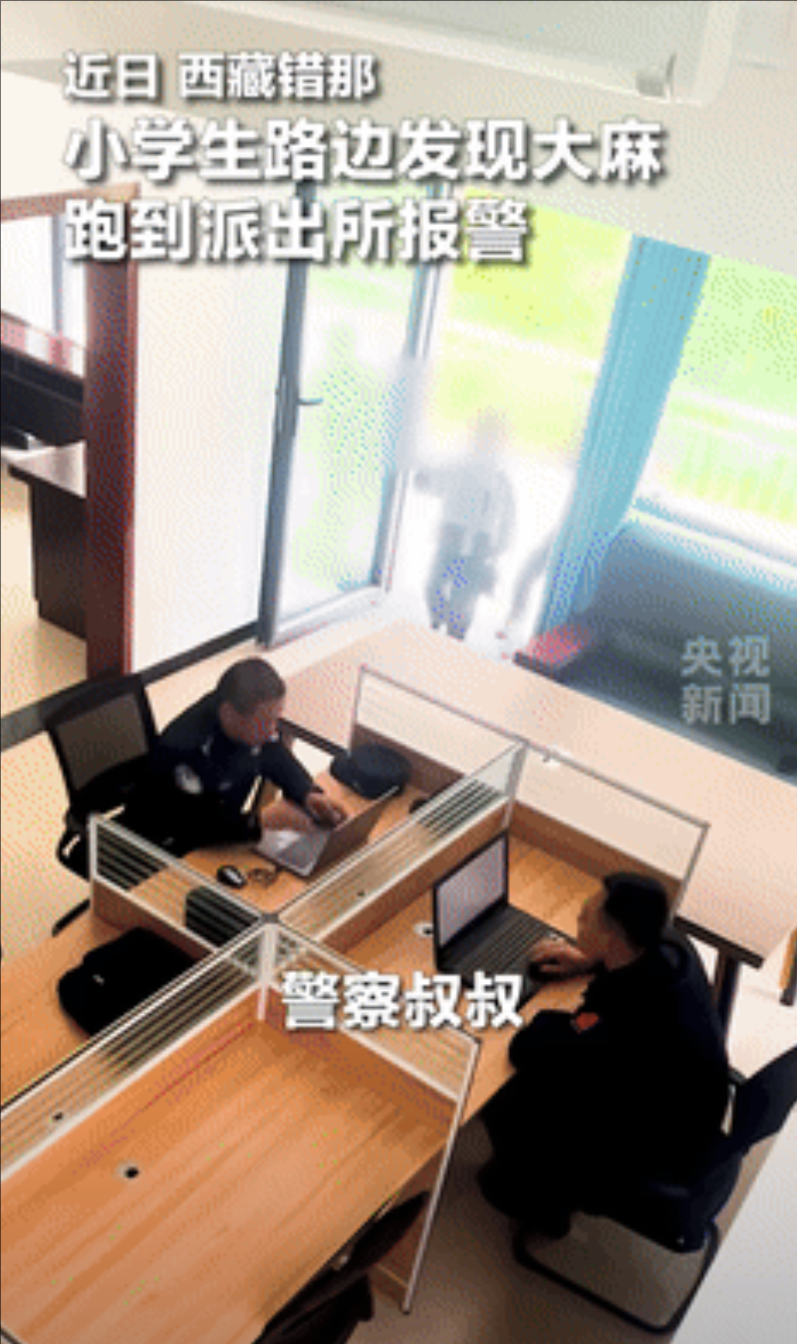 6月18日，西藏，男孩路边发现大麻后报警，民警懵了：“你们怎么认识大麻？”不料，