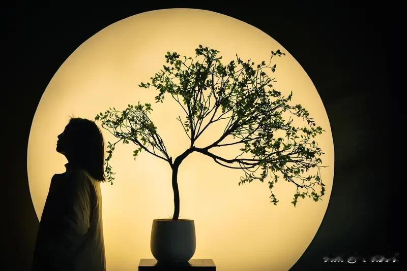 看到“酒里忧愁少”这一上联，瞬间便觉其意境十足。有人对出“弦间月色柔”，此对堪称