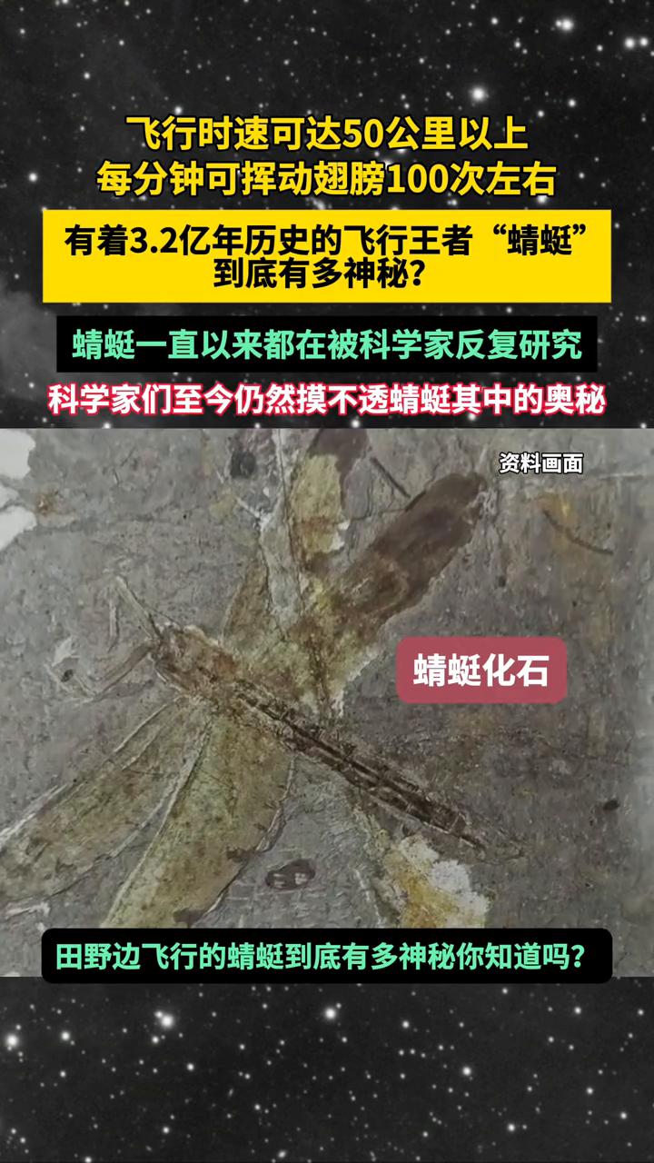 飞行时速可达50公里以上，每分钟可挥动翅膀100次左右。有着3.2亿年历史的飞行