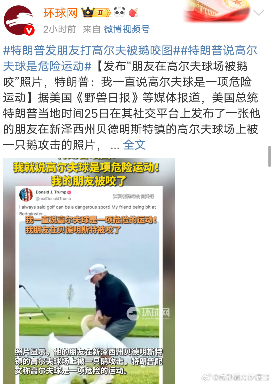 大鹅咬错人了​​​