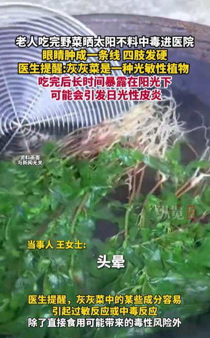 “这下后悔了吧！”6月3日，山东济南一位78岁老太吃了几棵野菜，然后把剩下的放进