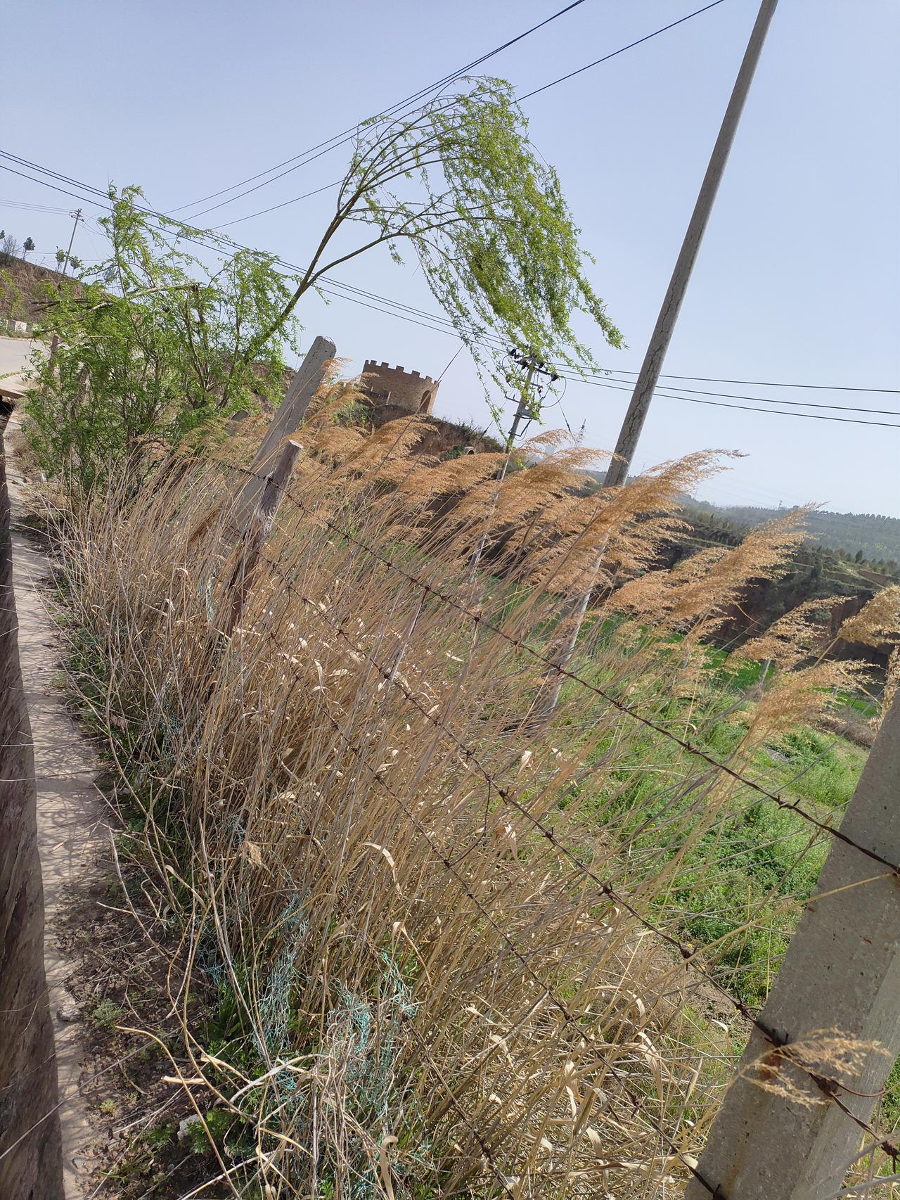 人,活着,最大的愿望是什么?人活着，最大的愿望其实不是飞黄腾达，而是那份实实在