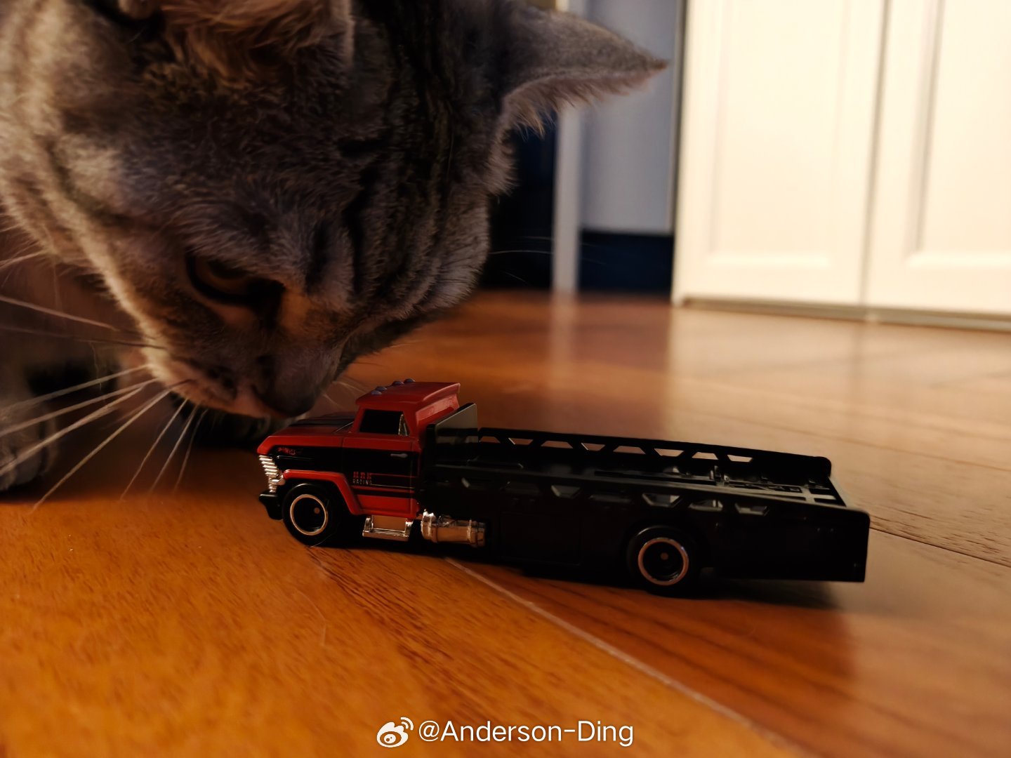 一只沉迷HorizonHauler的猫猫​​​