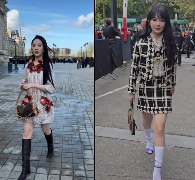 杨紫和刘亦菲一比感觉她离国际巨星气质只差那么一点坚定和自信了，参考刘亦菲的眼神