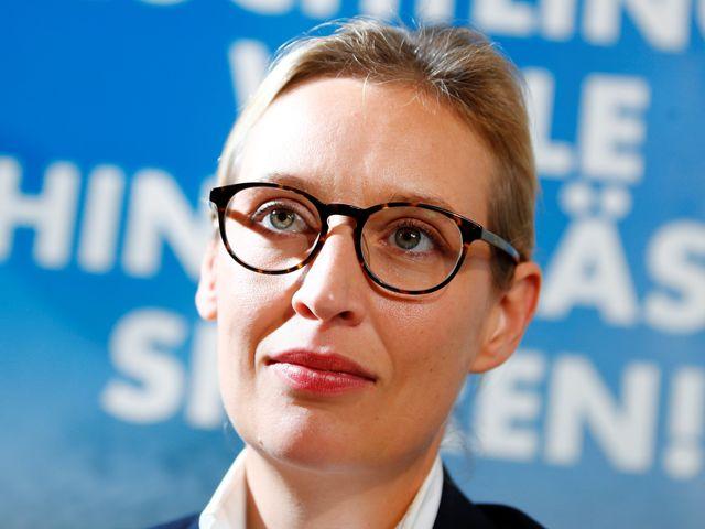 魏德尔一问，欧洲的双标藏不住了这两天欧洲政坛最炸的事，莫过于德国女政客魏德